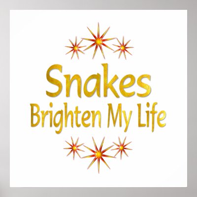 Snakes Brighten My Life Poster