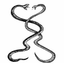 Snakes in combat, big magnet sculpture photo cutouts