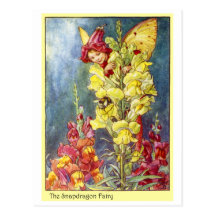 Snapdragon Fairy Postcards