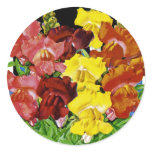 Snapdragon Vintage Seed Packet Round Sticker