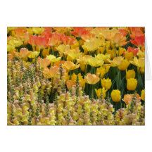 Snapdragons Card
