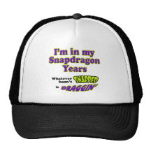 SnapdragonYears Mesh Hats