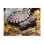 Snapping Turtle Post Cards