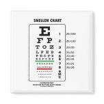 Snellen Chart (Medical Visual Acuity Testing) magnets