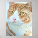 Snickers the Cat Print