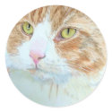 Snickers the Cat Round Stickers