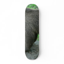 Sniffing Bear Skateboard