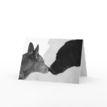 Sniffing Greeting cards