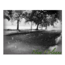 Sno-Orleans Postcard