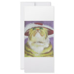 snobbish cat rack cards