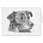 Snoopy cards