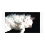 Snoopy colour photo cards
