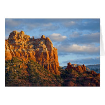 Snoopy Rock Greeting Card 2201