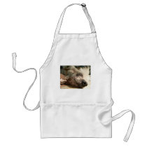 snooze apron