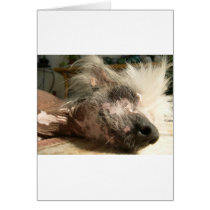 snooze greeting card