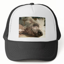 snooze mesh hats