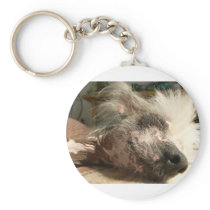snooze key chains
