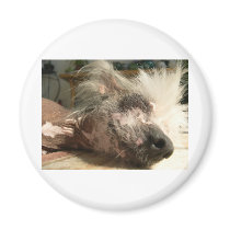 snooze fridge magnet