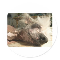 snooze sticker
