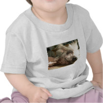 snooze t-shirt