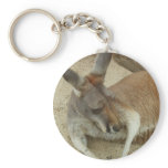 Snoozin keychains