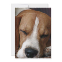 Snoozing Beagle Invitation