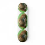 Snoozing Orangutan Ape Skateboard