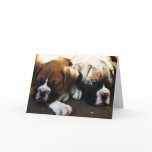 snoozing pups greeting card