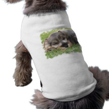 Snoozing Schnauzer Dog Shirt
