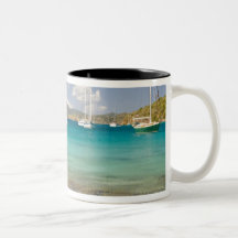 Snorkelers in idyllic Pirates Bight cove, Bight, Mug