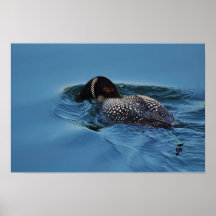 Snorkelling for dinner print