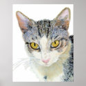 Snoshu the Cat Print