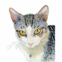 Snoshu the Cat Sculpture photo sculptures
