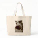 snout bags