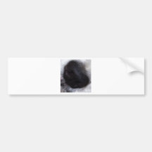 Snout Bumper Sticker