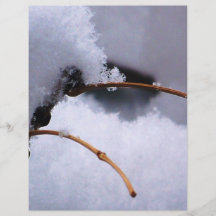 SNOW 11 FLYERS
