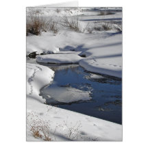 Snow and Water Card