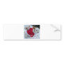 Snow Babys Bumper Stickers