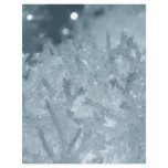 Snow balls 2 flyers