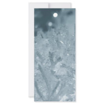 Snow balls 2 rack card design