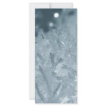 Snow balls 2 rack cards