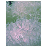 Snow balls flyers