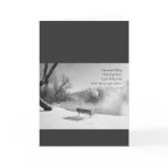 Snow Bench in Silence cards