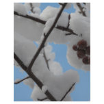 snow berry flyers