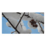 snow berry custom photo card