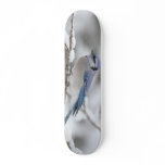 snow bird skateboard