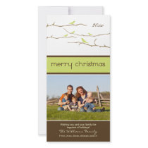 Snow Birds Merry Christmas Photocard (lime)