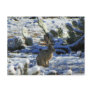 Snow Bunny Post Cards