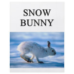 SNOW BUNNY skiing joke flyers