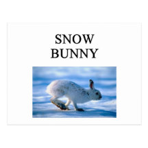 SNOW BUNNY skiing joke Post Cards